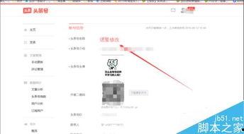 头条号主页如何修改标题,头条号主页标题修改技巧，打造吸睛文章副标题